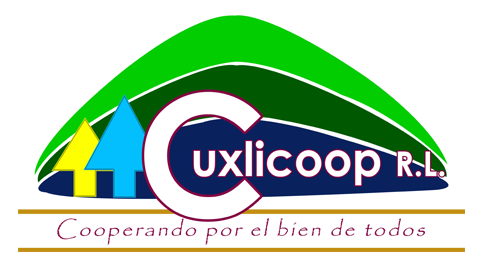 Cooperativa CUXLICOOP R.L- Sistema Global Finanzas